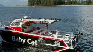 Private Boat 15 Person