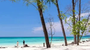 4 Island (Chueak Island, Mook Island, Kradan Island, Ngal Island,)